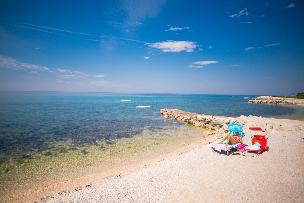 Apartments Ostrea - Mimoza Novalja Εξωτερικό φωτογραφία